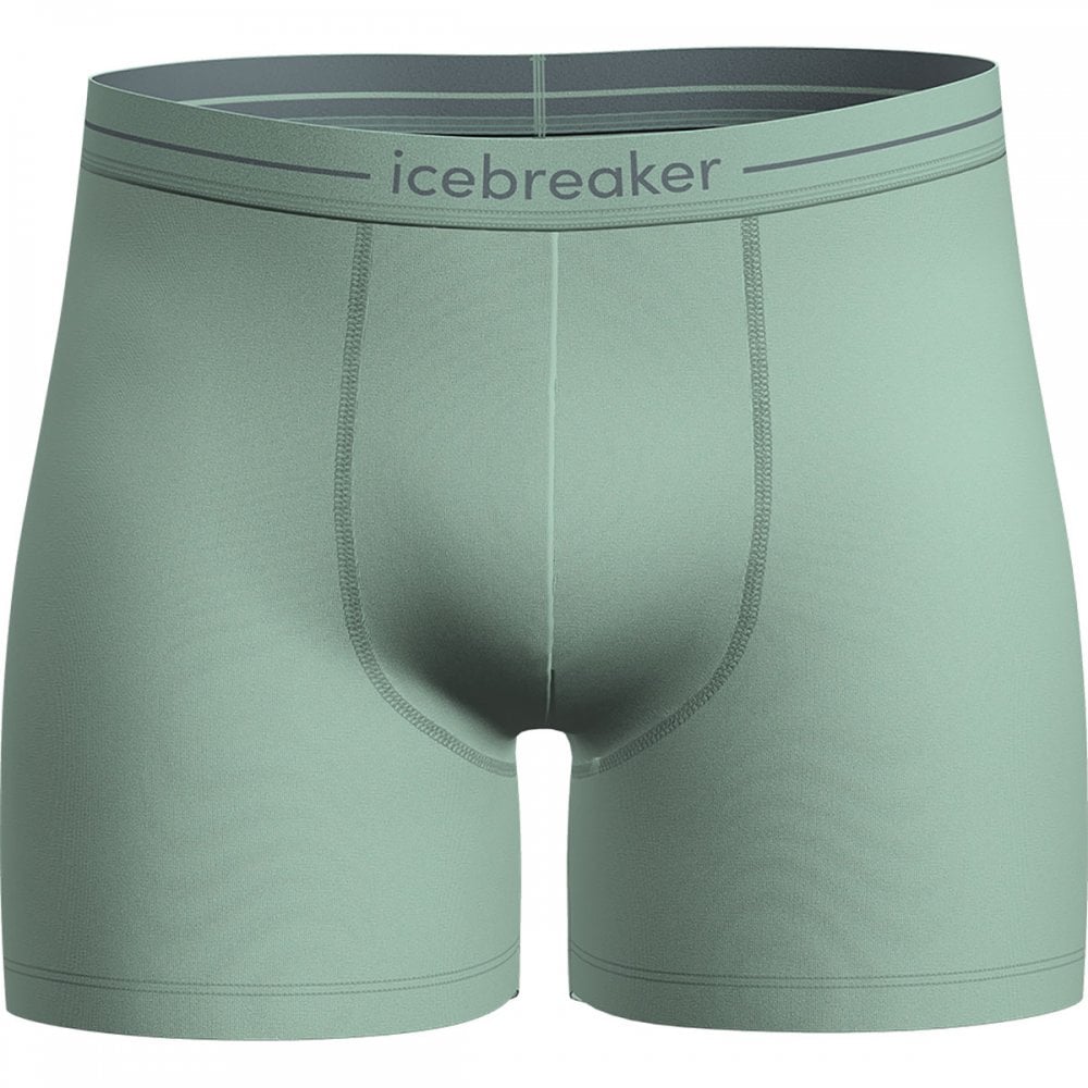 Mens Merino 150 Anatomica Boxers