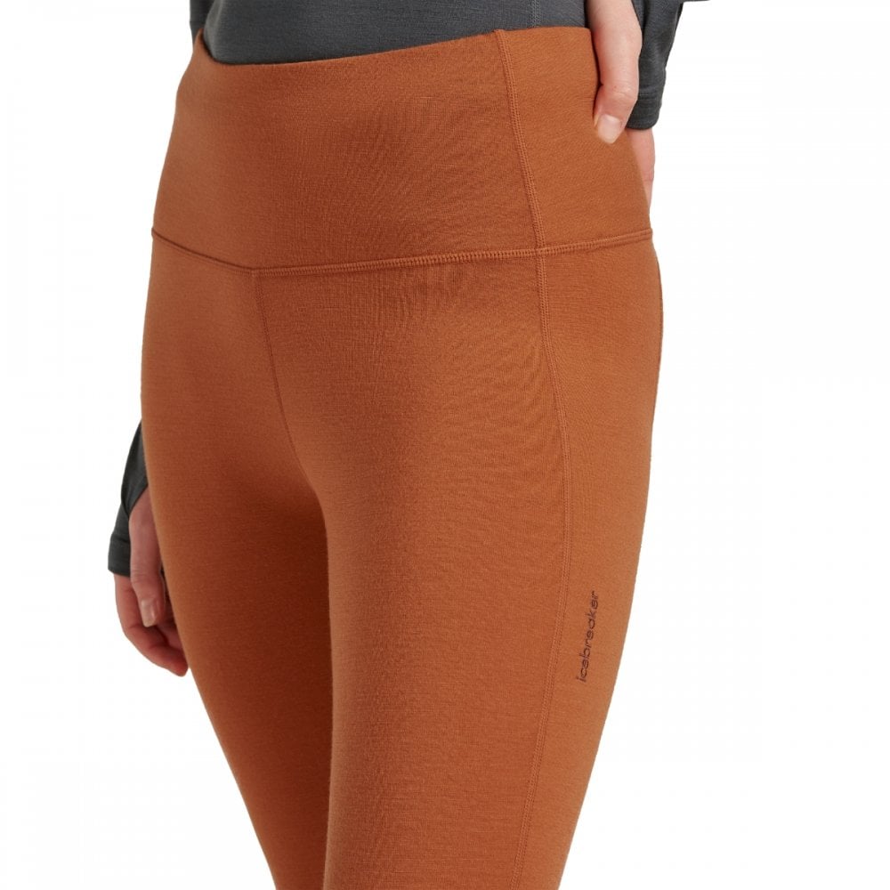 Womens Merino 260 Fastray 25" High Rise Tights