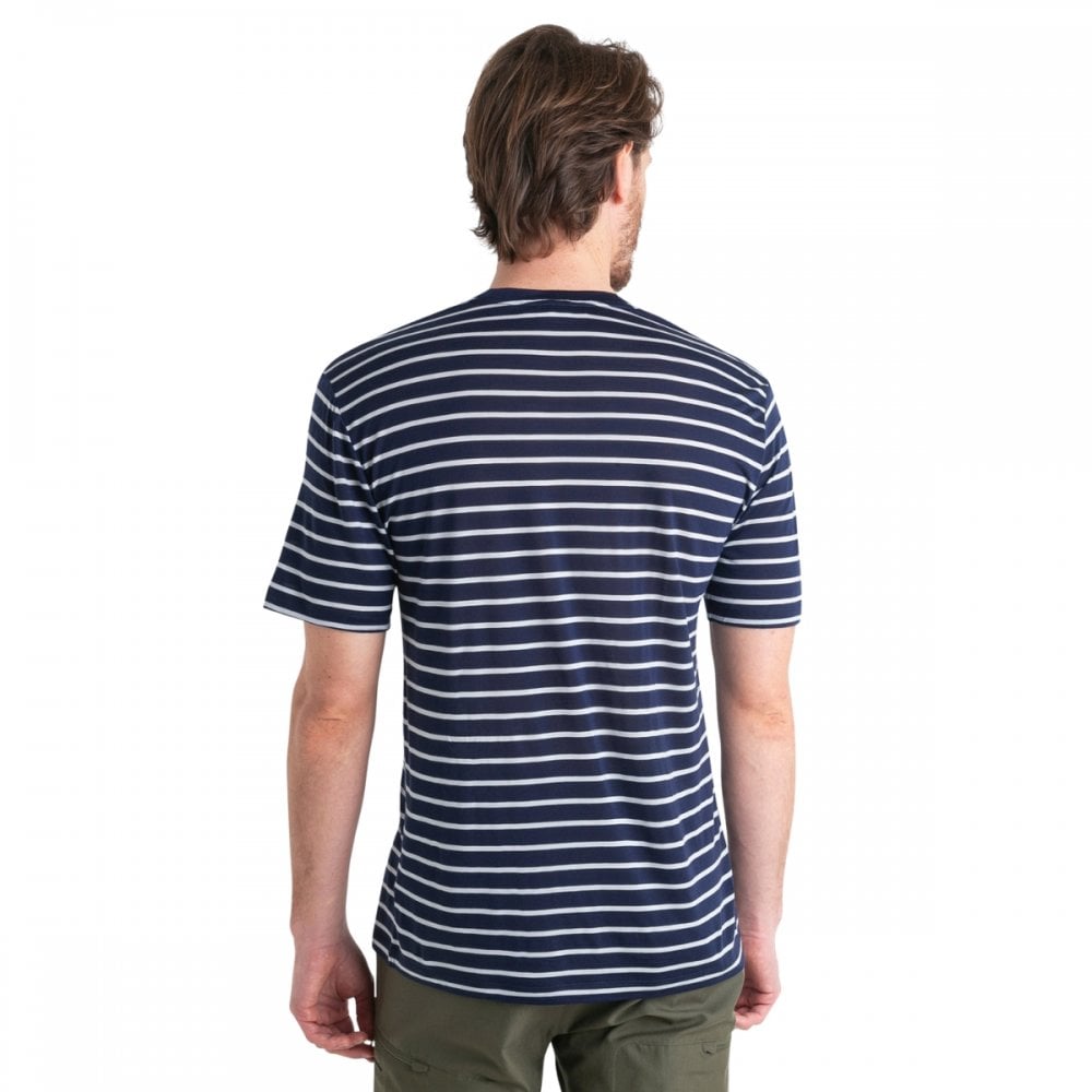 Mens Merino Blend Drayden Short Sleeve T-Shirt Stripe